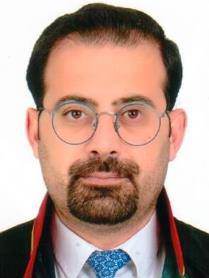 ERSİN BİRİCİK