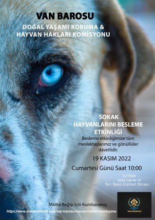 Sokak Hayvanları Beslenme Etkinliği